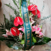 IMG 20200131 WA0032
