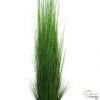 arcoflor PLANTA GRASS