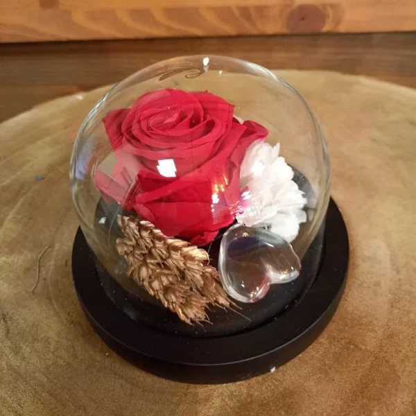 Cúpula roja pequeña