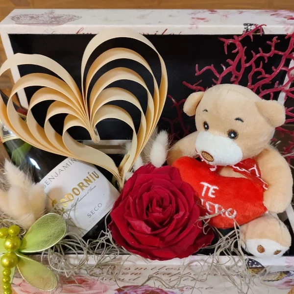 Caja oso con cava