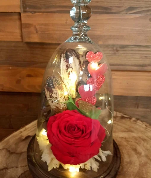 Cúpula Cupido con luz