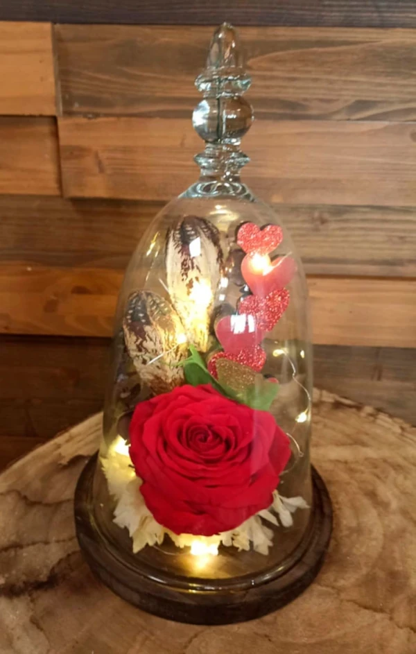 Cúpula cupido con luz